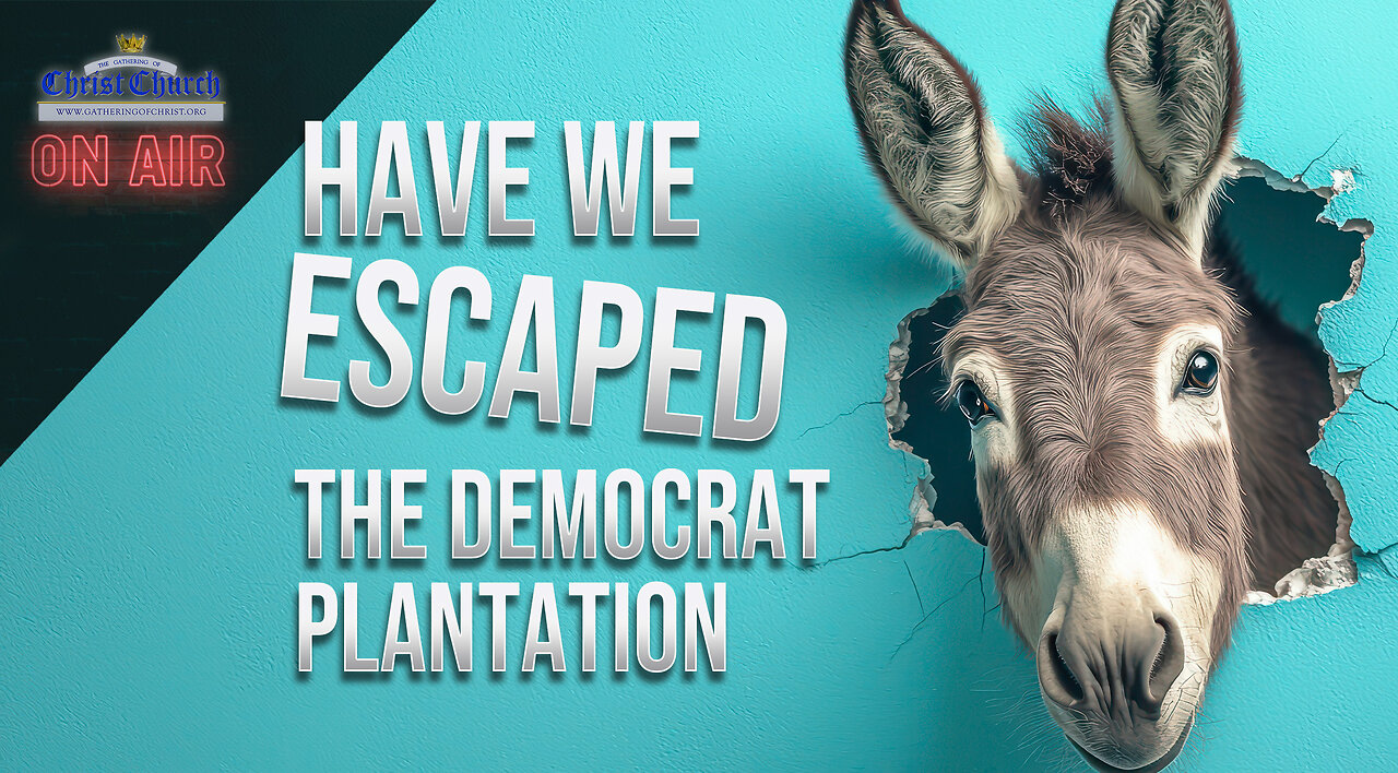 Have we escaped the Democrat plantation?