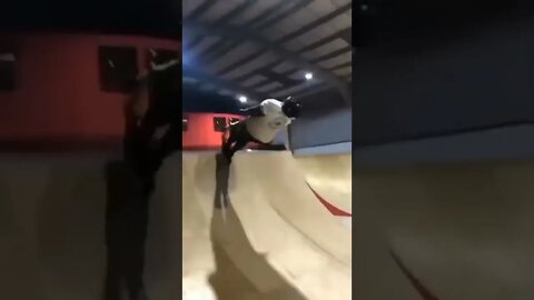 morreu mas passa bem 😂😂😂