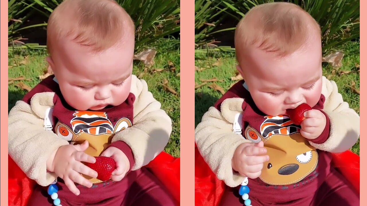 Cute and chubby baby calmly eats his strawberries