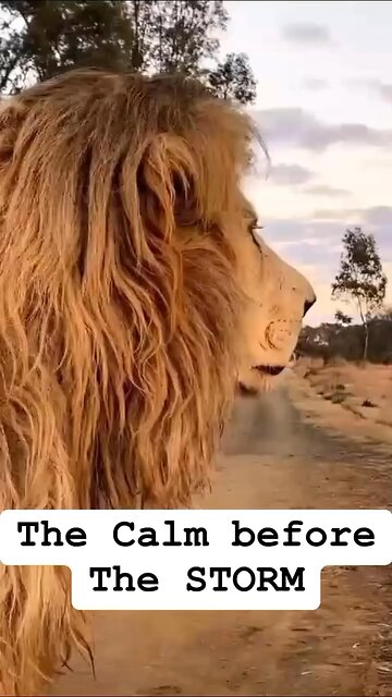 The Calm before the Storm!