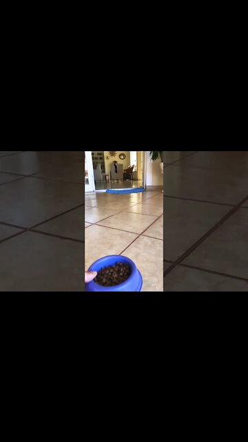 Turn on switch 😂 #shorts #shortsfeed #shortvideo #clips