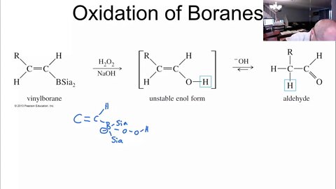 alkyne video 7