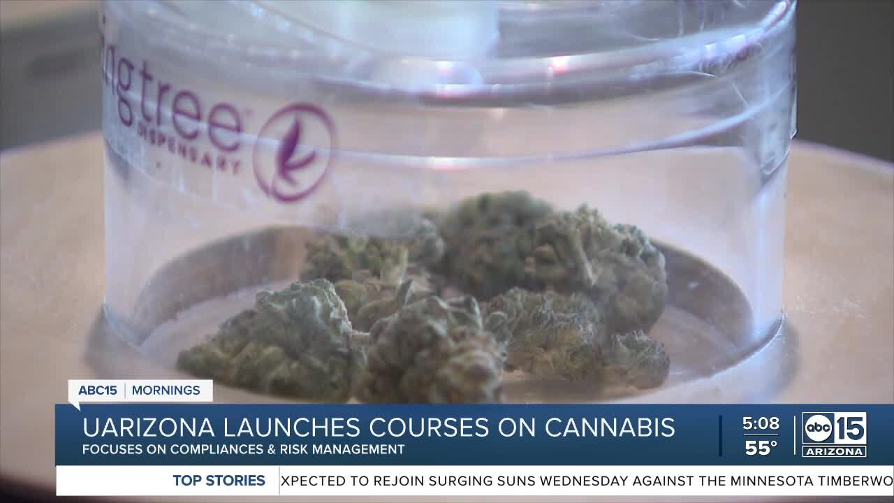 UArizona launches courses on cannabis