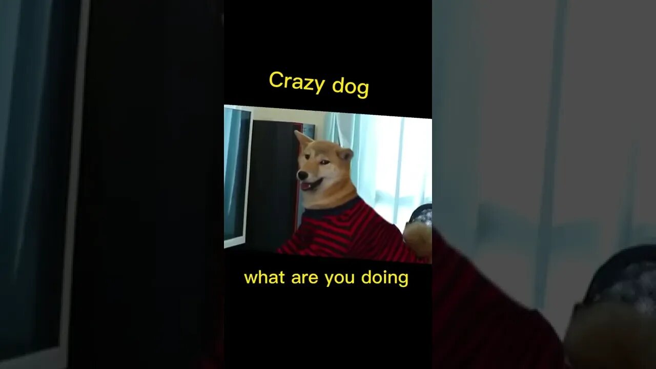 If you think your life is too stressful ?? think again until you watch this , #short