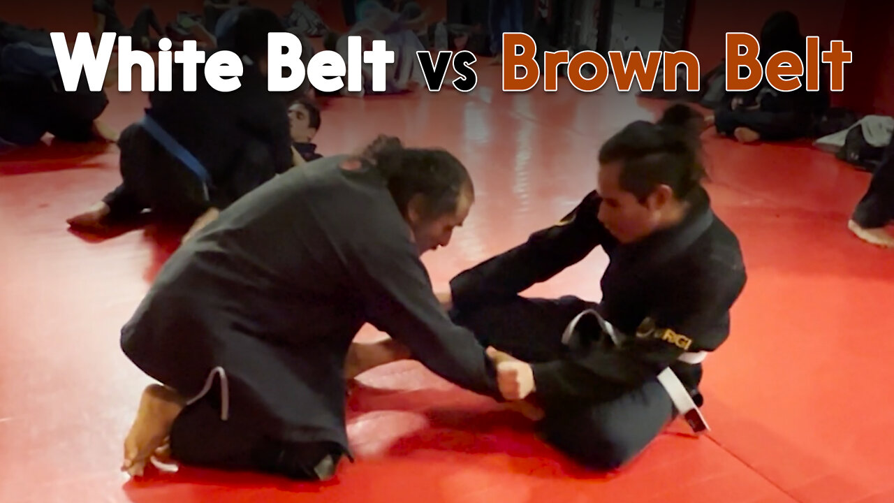 White Belt vs Brown Belt | Circadian MMA 10/03/2022 [PART 1 - El Señor Rodrigo]