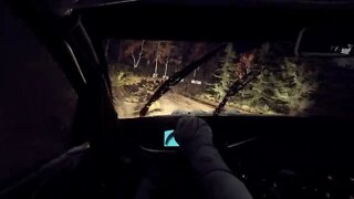 DiRT Rally 2 - RallyHOLiC 11 - Scotland Event - Stage 6