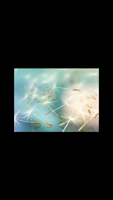 Beautiful Miracle (Teaser)