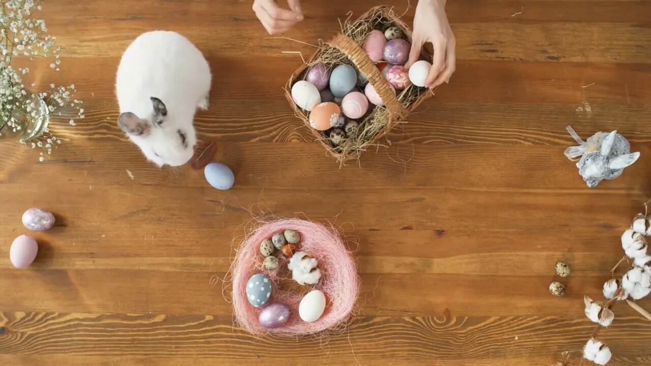 Top view of adorable white bunny sitting on wooden table as female hands arranging colorful Easter e