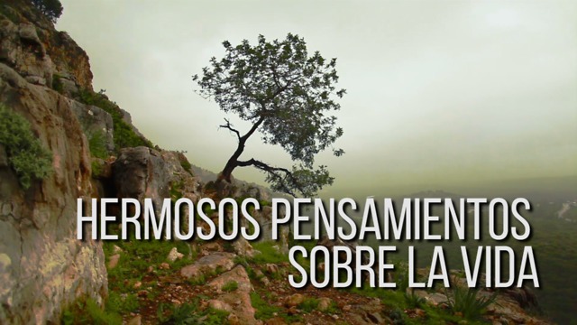 Hermosos Pensamientos Sobre La Vida