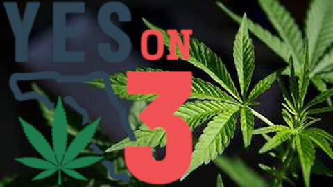 The Truth About Cannabis - VOTE YES ON 3 IN FLORIDA!