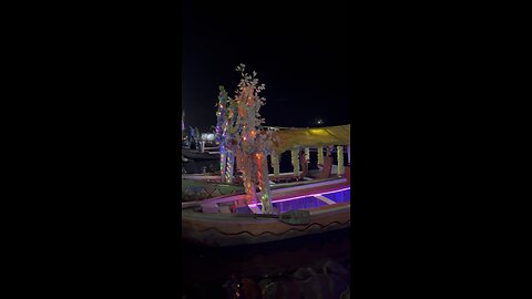 Maa Narmada Gwarighat #maa #narmada #ganga #trending #shorts #reels #travel #lights #night #Hindu