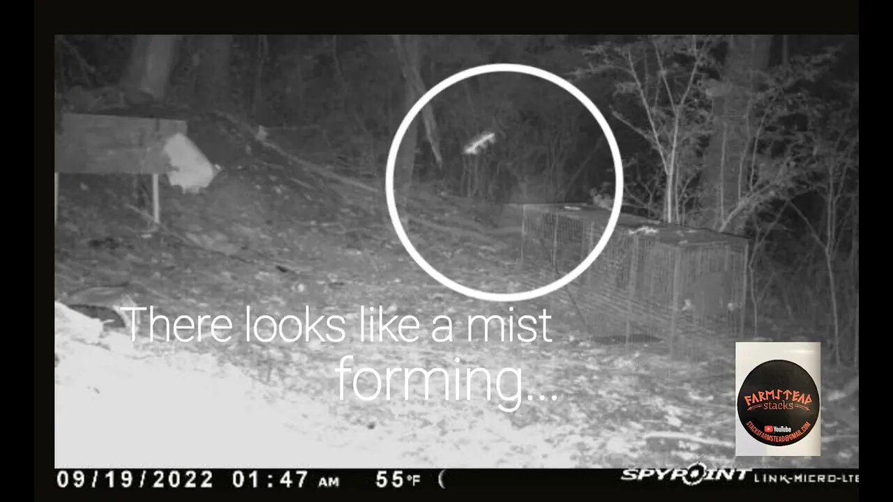 Not sure what I caught on the trail cam, anyone wanna guess? #paranormal #what