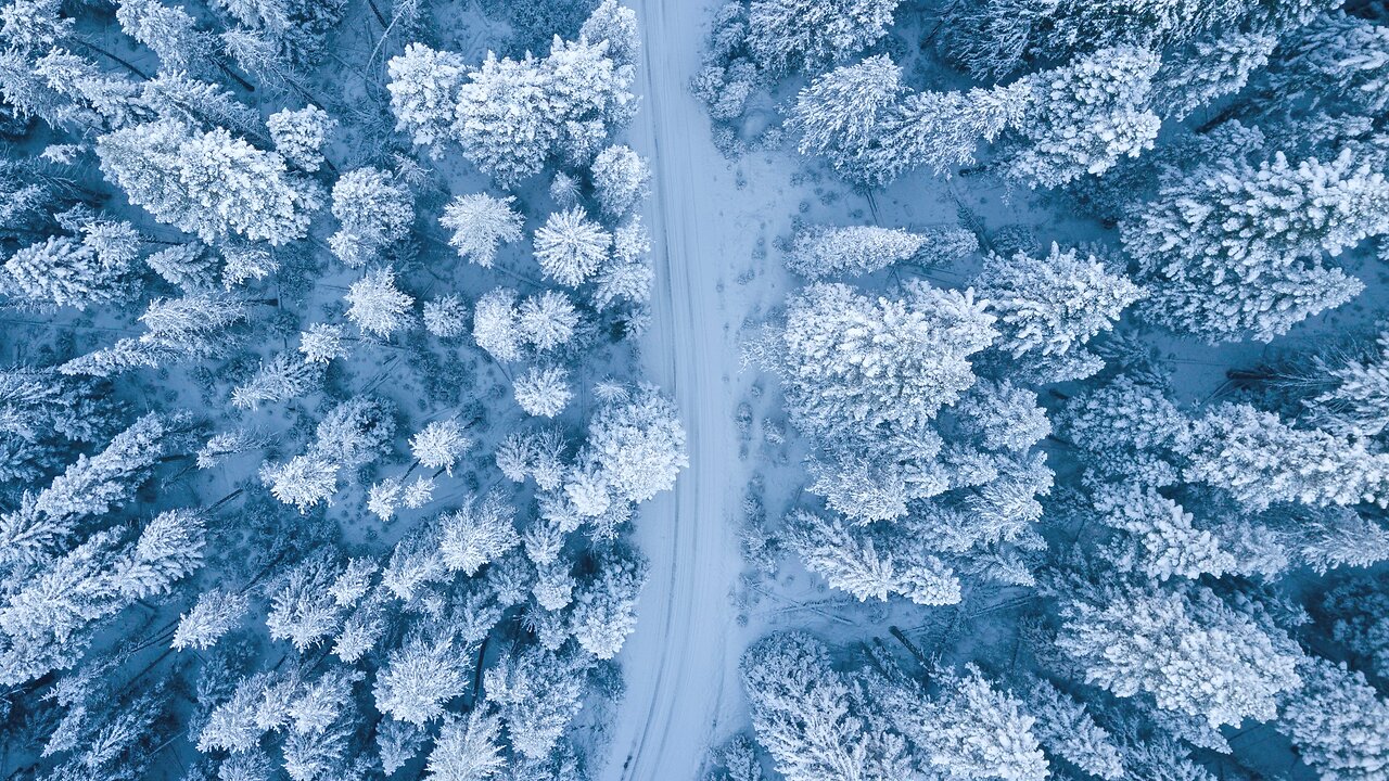 Winter Wonderland: Relaxing Snowfall in Nature ❄️🌲 | Soothing Winter Scenes for Relaxation #Snowfall #WinterNature #RelaxingSnow