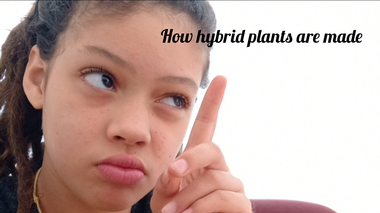 How hybrid plants are made