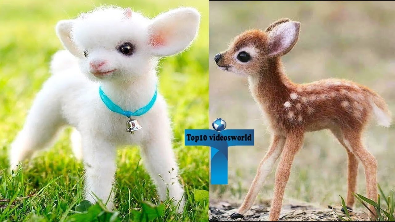 cute baby animals compilation