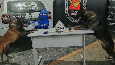 Ação da Polícia Militar: Homem preso com drogas, celular e dinheiro no Bairro Operários em Mantena.