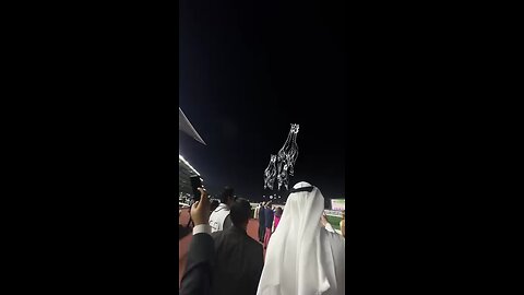 horses race