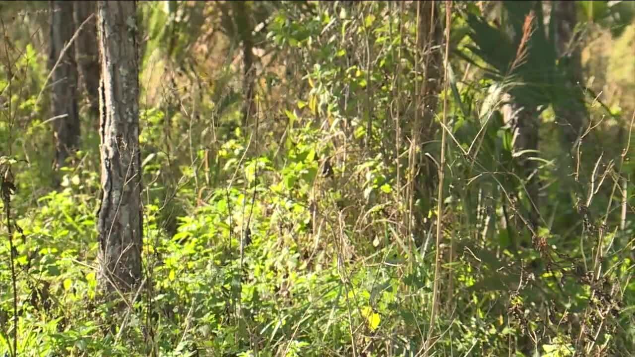 FL Forest Service is preparing for a busy fire season