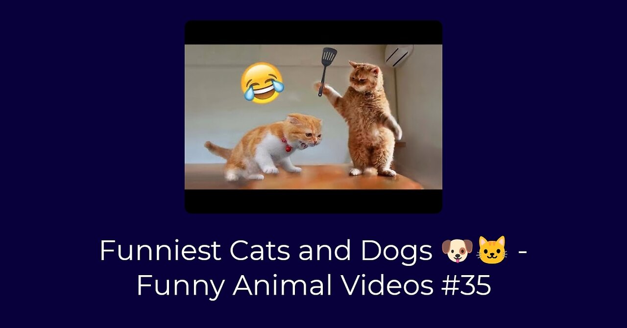 Funny video