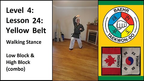 Baehr Taekwondo: 04-24: Green Stripe: Walking Stance - Low and High Block (Combo)