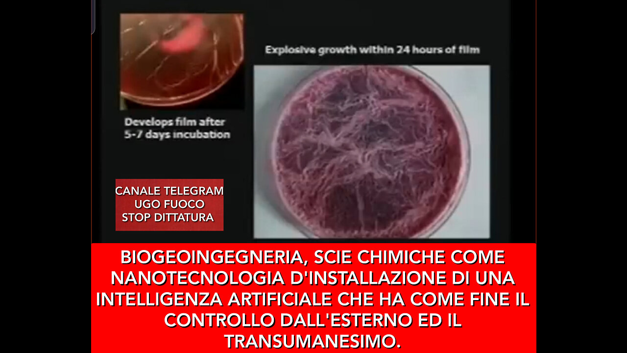 SCOMPARVE DOPO QUESTA CONFERENZA SU SCIE CHIMICHE, POLVERE INTELLIGENTE, TRANSUMANESIMO