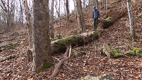 Movement in Nature- Log Crawl