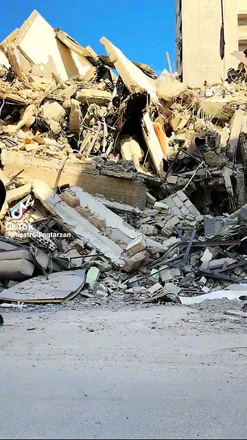 Not going anywhere thjs is our land.That’s the message 4 Israel Long live Palestine & Lebanon ⏬desp