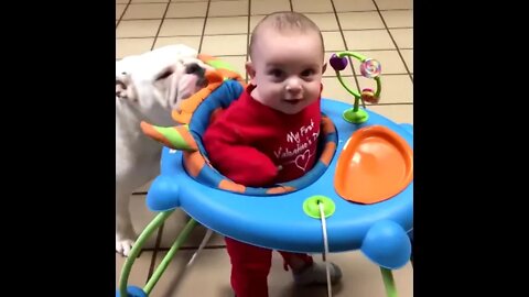 Cute Kids Playing with Cute Pets 😼🦮