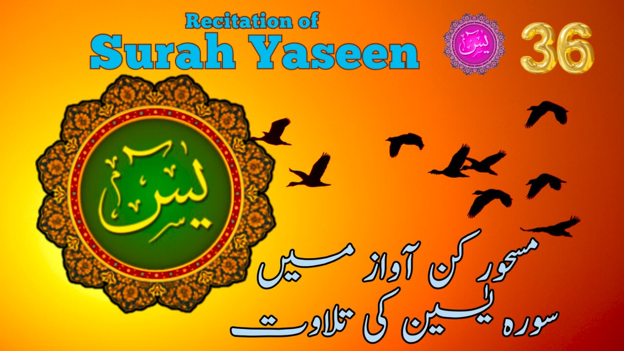 Recitation of Surah Yaseen | Yasin | Ya-sin Quran Chapter 36