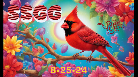 SSGG - 8/25/2024