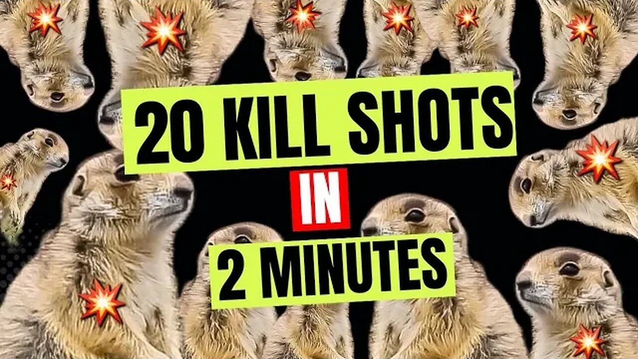 20 Kills in 2 minutes!!! [Prairie Dogs and Bonus]