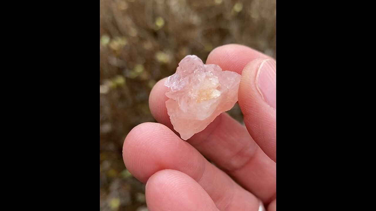 ✨Morganite✨