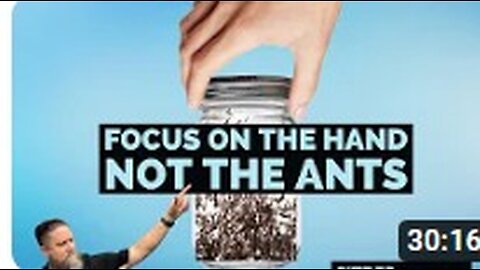 Focus on the Hand, Not the Ants - SITREP 11.22.23