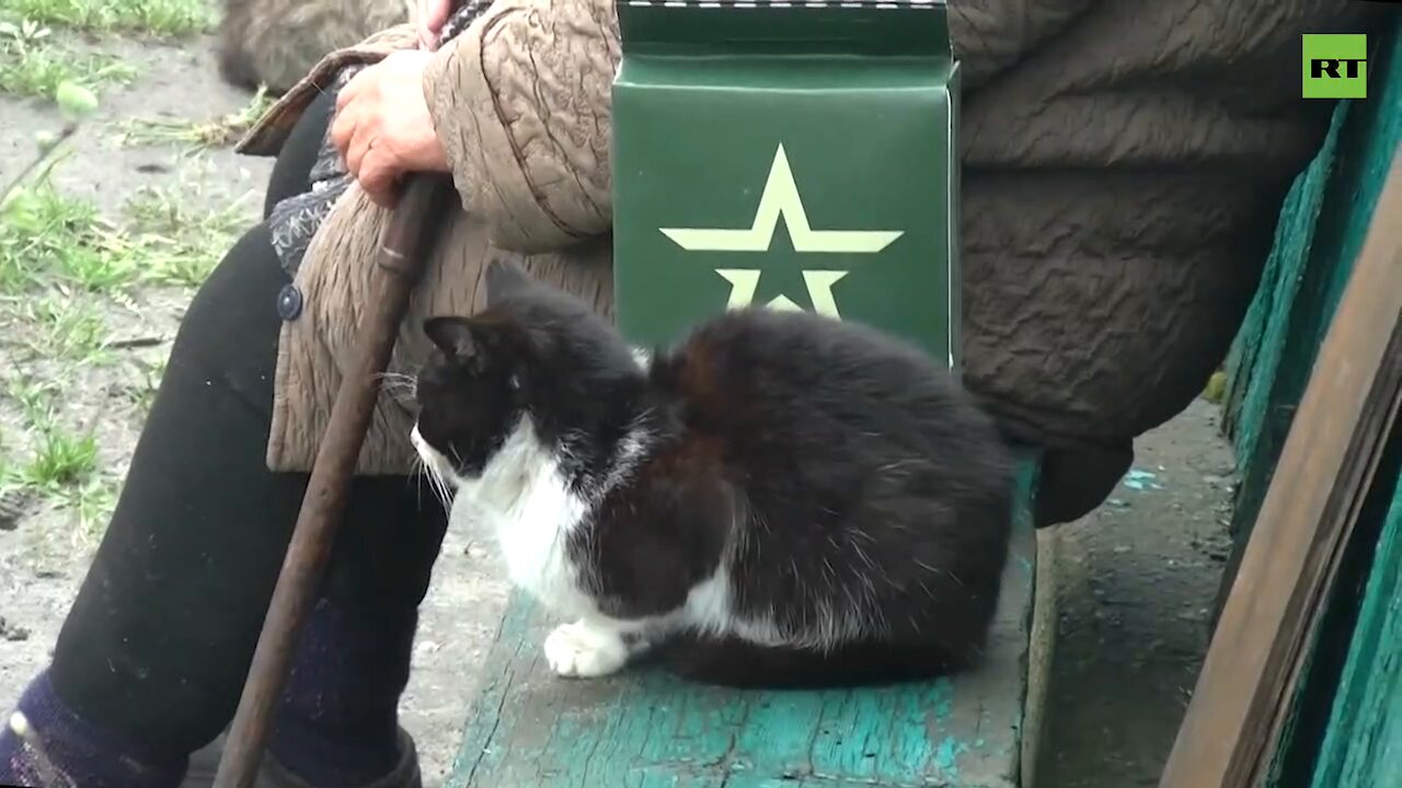 Russian servicemen delivered a new batch of humanitarian aid to residents of the liberated settlements of the LPR