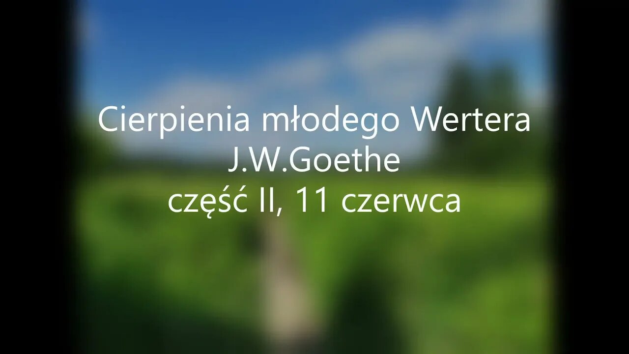 Cierpienia młodego Wertera-J.W.Goethe część II, 11 czerwca