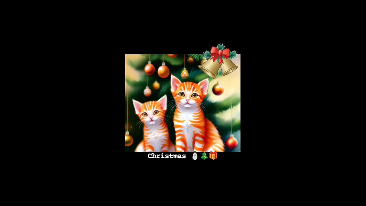 Christmas cats