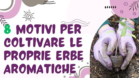 8 motivi per coltivare le proprie erbe aromatiche