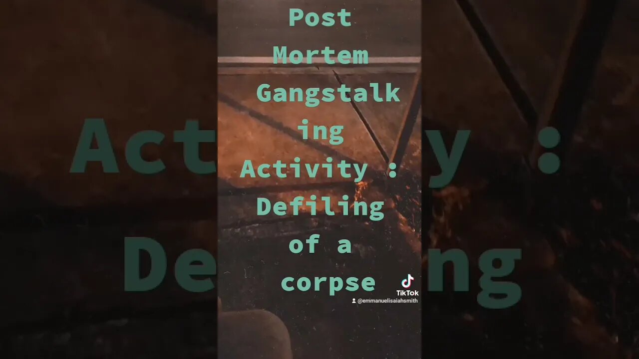 Gang-stalking in Action : The TikTok Edition on YouTube : Post Mortem Gangstalking