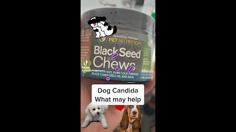 Black Seed Oil & Dogs