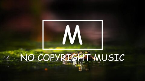 Nekzlo - Happy New Year（Mm No Copyright Music）