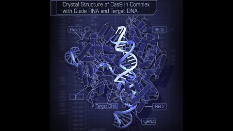 Editing Out the God Gene to Patent Your DNA, Bob Gilpatrick