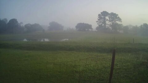 Morning Coffee On The Ranch.