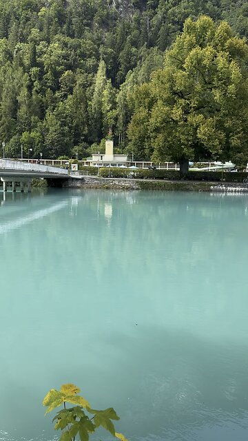 Lake Switzerland 🇨🇭