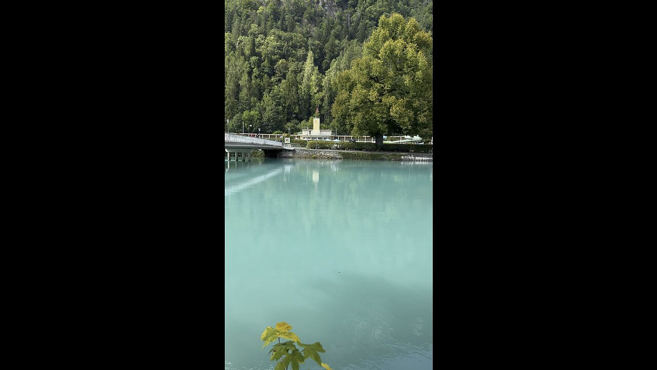 Lake Switzerland 🇨🇭