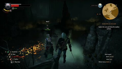 Witcher 3 - Well? Music Video