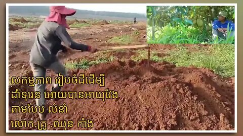 សកម្មភាព រៀបចំដីដើម្បីដាំទុរេន អោយបានត្រឹមត្រូវ តាមប្រពន្ធ័ EXM