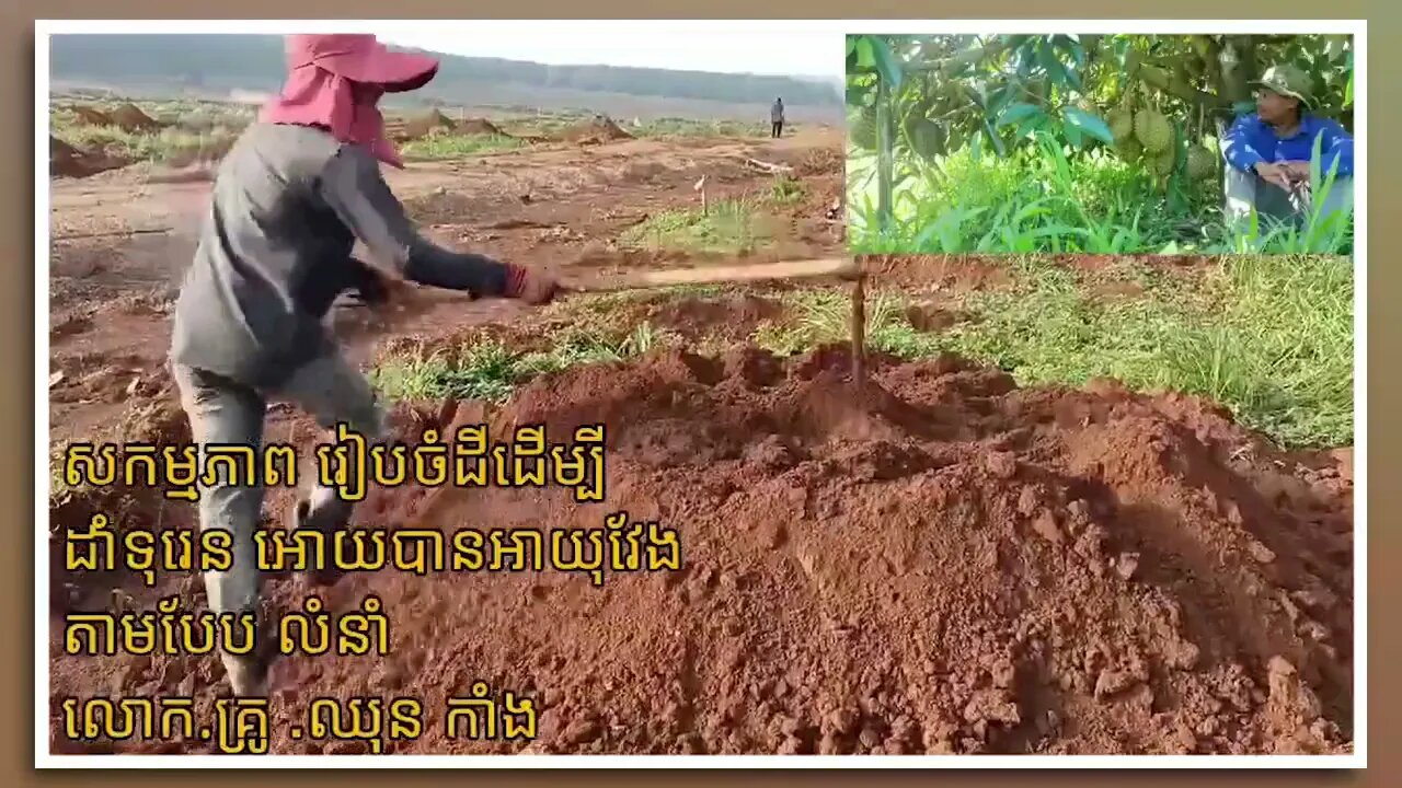 សកម្មភាព រៀបចំដីដើម្បីដាំទុរេន អោយបានត្រឹមត្រូវ តាមប្រពន្ធ័ EXM