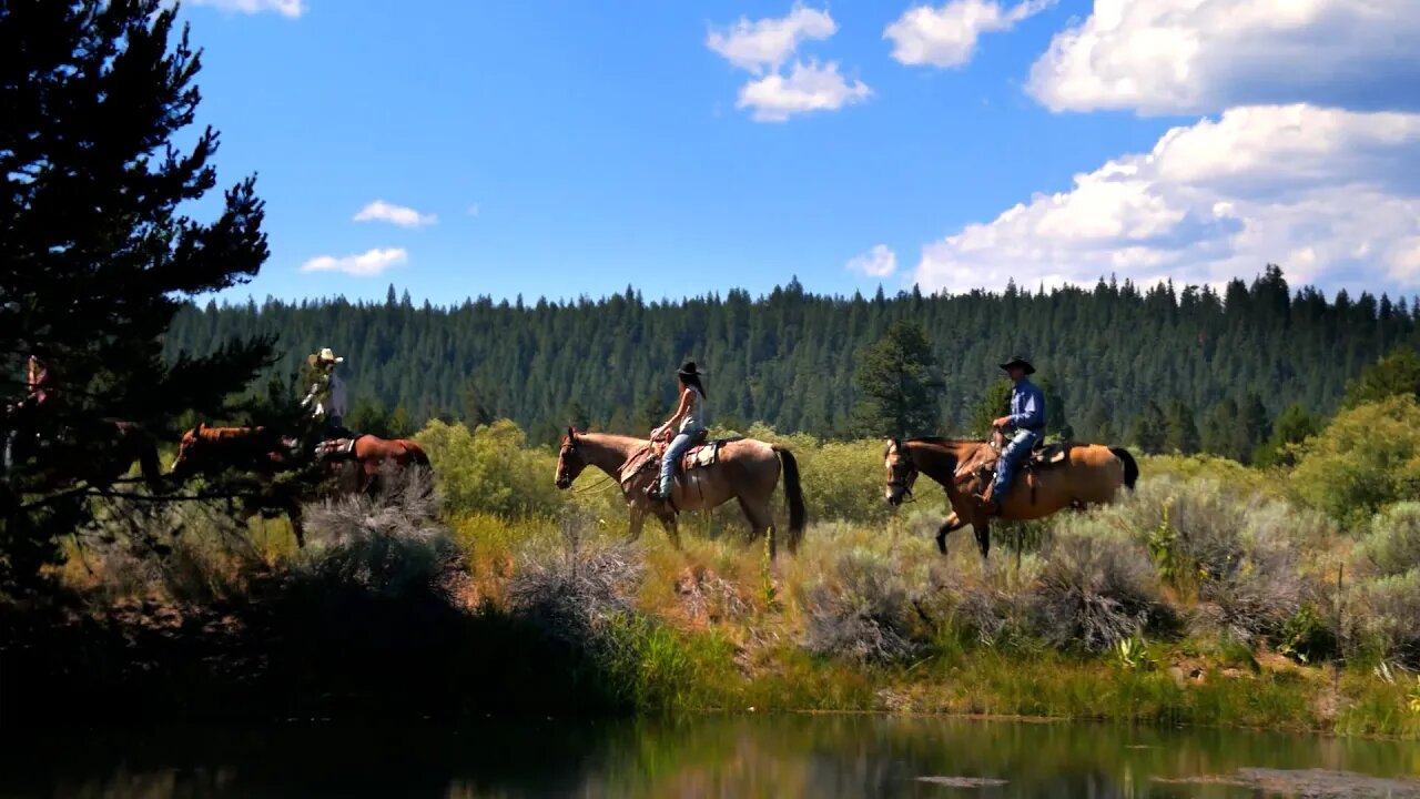 Event To Benefit Lethbridge Therapeutic Riding Association - September 12, 2022 - Micah Quinn