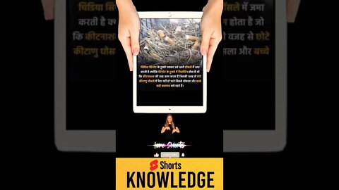 Motivational Quotes Intresting Facts lifestyle & research #shorts #ytshorts #knowledge #motivation