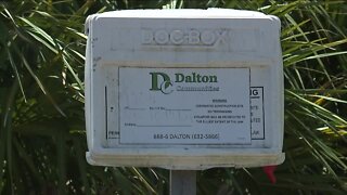Council members ask if backed up building permits will continue to be a problem in Cape Coral